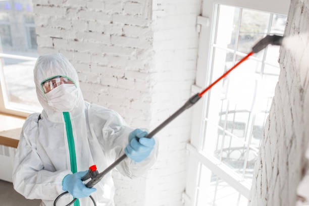 Best Mold Damage Restoration  in Dinuba, CA