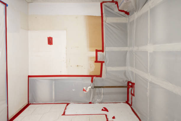 Best Mold Remediation for Healthcare Facilities  in Dinuba, CA