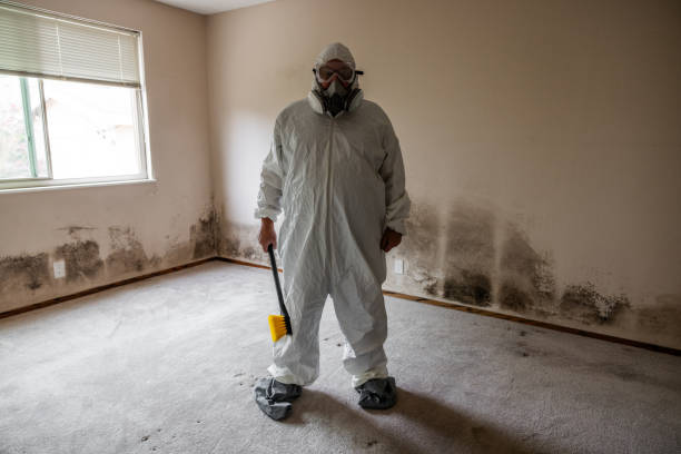 Best Mold Documentation for Insurance Claims  in Dinuba, CA
