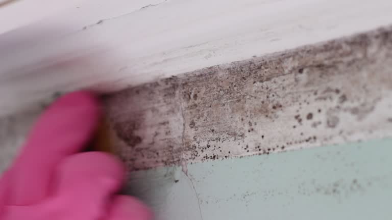 Best Asbestos and Lead Testing During Mold Inspection  in Dinuba, CA